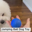 Smart Roll Pet Interactive Ball - Durable, Bite-Resistant Dog Toy For Training And Play