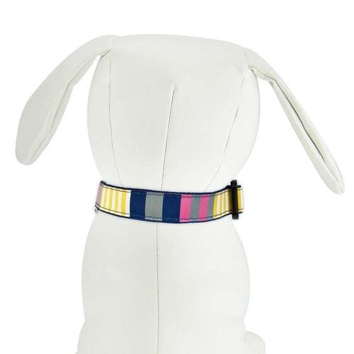 Sunshine Stripe - Handcrafted Nylon Dog Collar