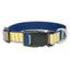 Sunshine Stripe - Handcrafted Nylon Dog Collar