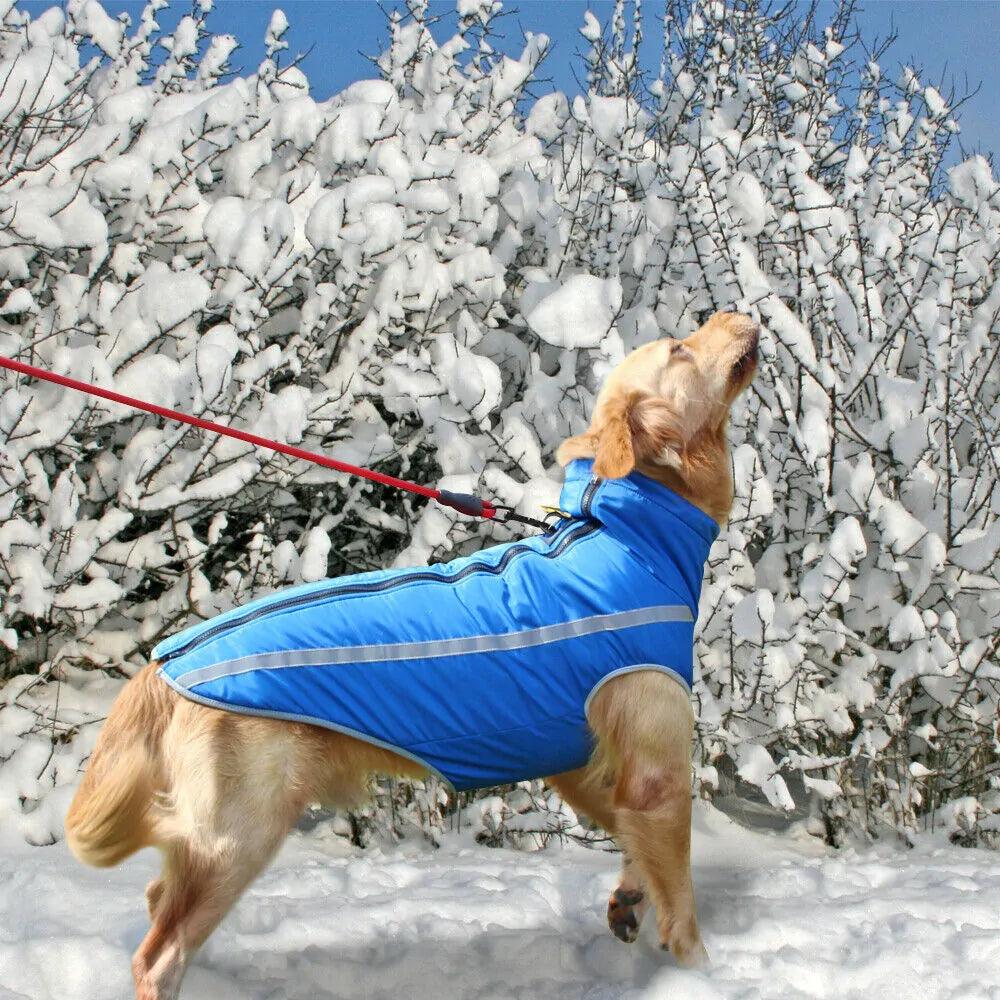 Waterproof Large Dog Coat Jacket: Ultimate Protection & Style