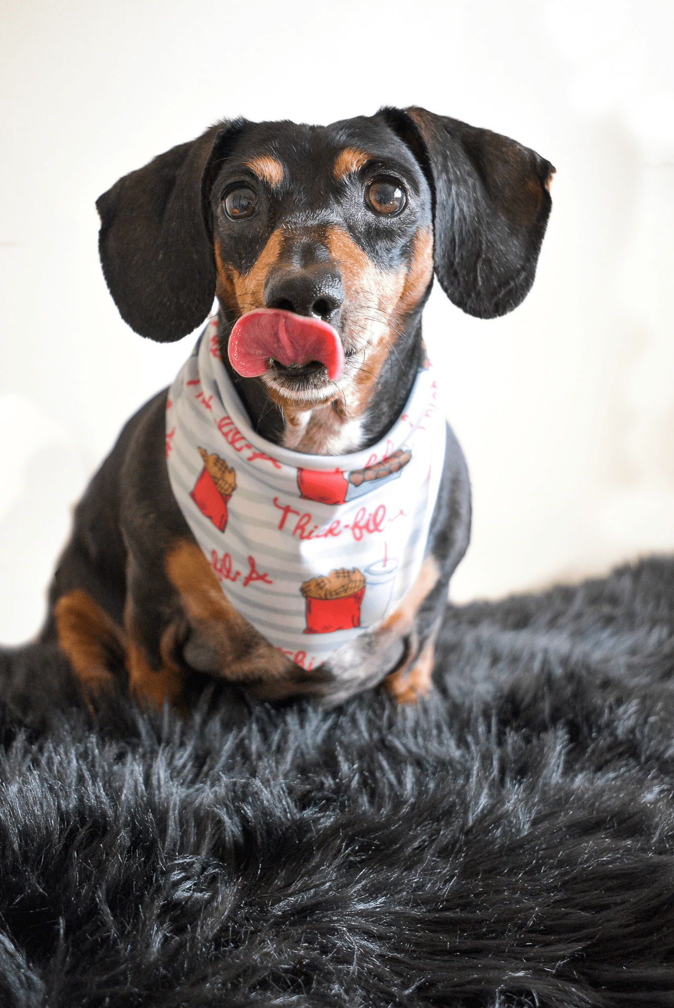 Nuggets & Fries Secure-Fit Bandana: Handmade Canvas Slip-On for Stylish Dogs