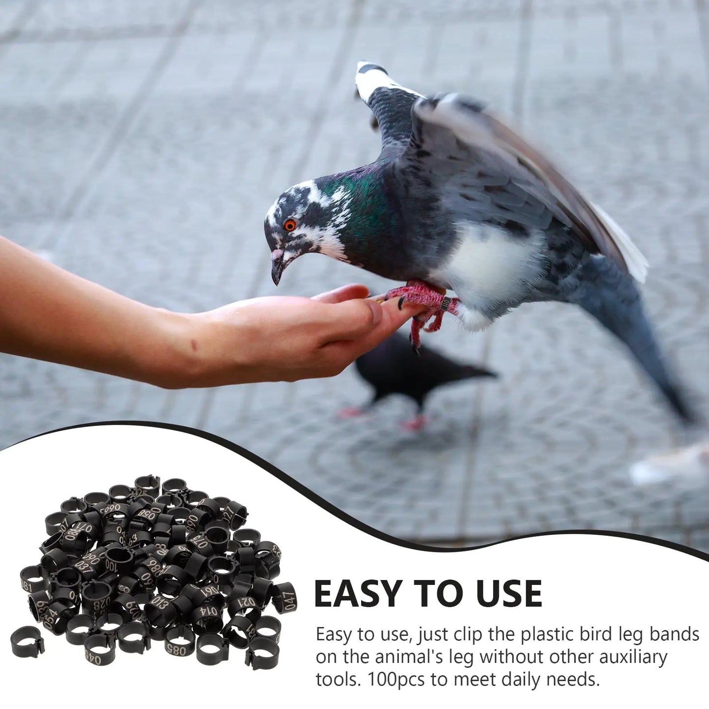 100 Premium Plastic Pigeon Foot Rings for Advanced Bird Management