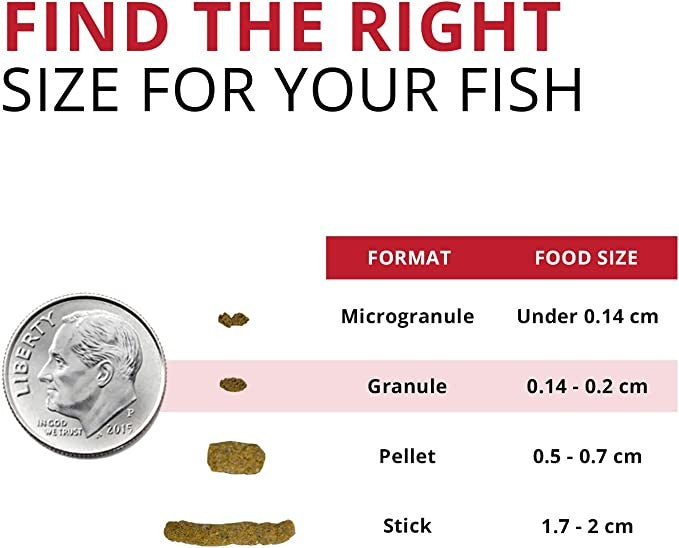 Fluval Bug Bites Cichlid Formula Granules: Premium Diet with Insect Larvae & Salmon for Small to Medium Fish