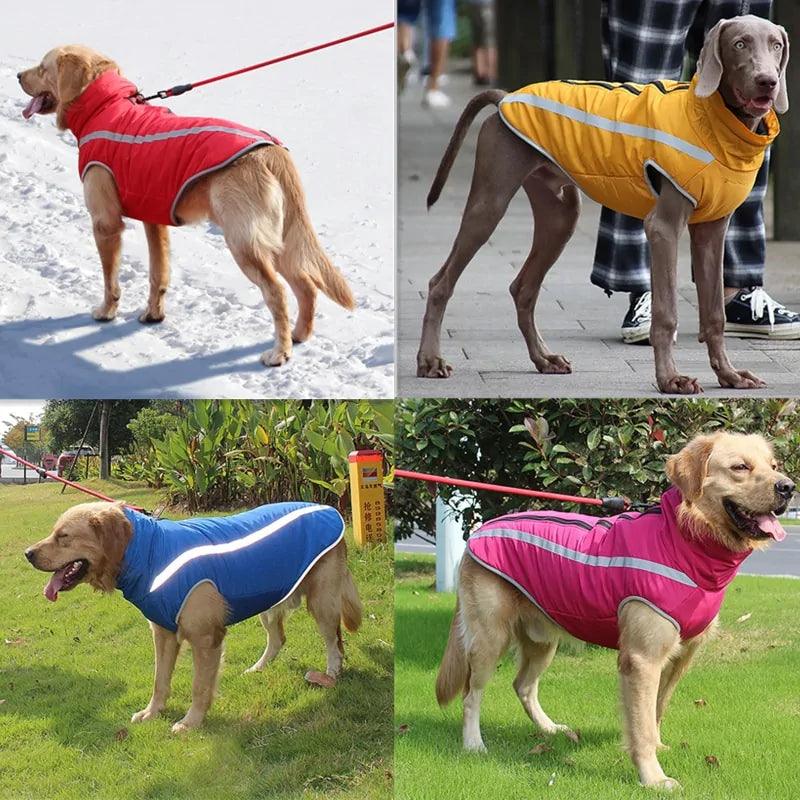 Waterproof Large Dog Coat Jacket: Ultimate Protection & Style