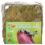 Zoo Med All Natural Terrarium Moss: Premium Amphibian and Reptile Substrate