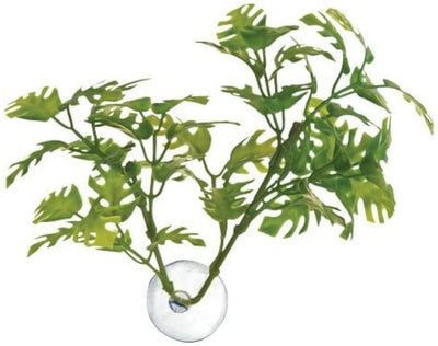 Zoo Med Betta Plants Window Leaf Plant - Naturalistic Plastic Decor for Betta Bowls & Small Aquariums