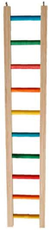 Zoo-Max Hardwood Bird Ladder 2ft for Small & Medium Parrots