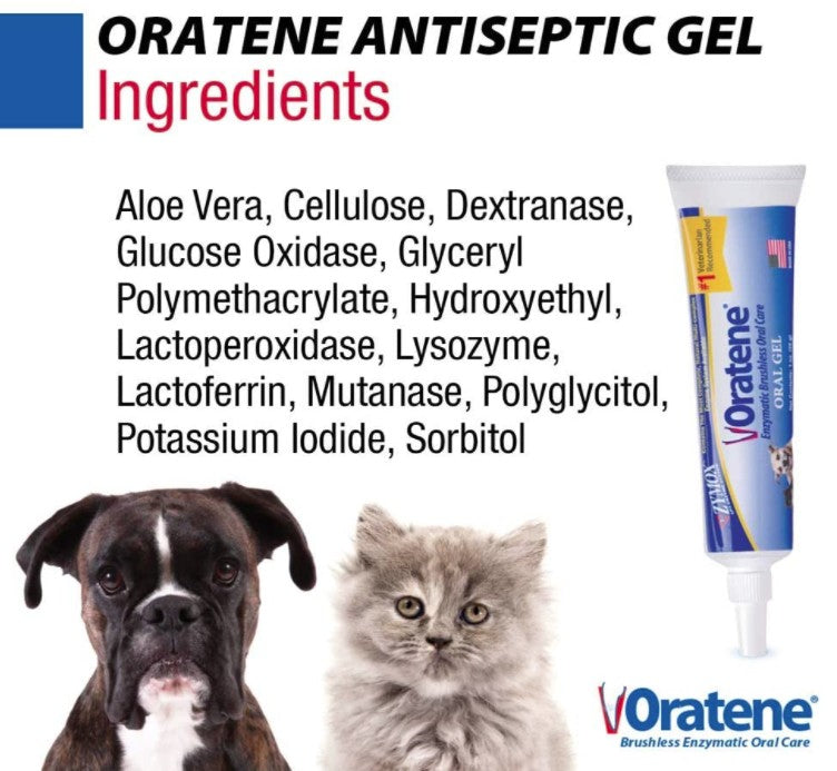 Zymox Oratene Enzymatic Oral Gel - Non-Irritating Pet Antiseptic Dental Care
