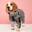 The New Pet Reflective All-Inclusive Four-Legged Large Dog Raincoat - Dog Hugs Cat