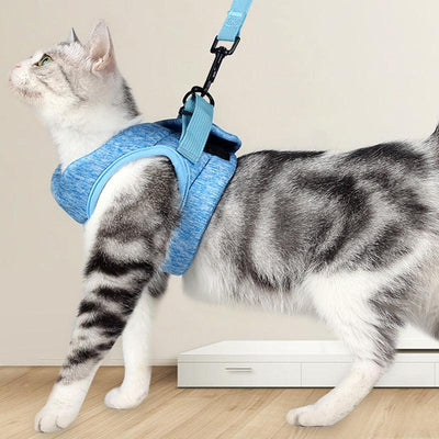 Cat Leash Lace Rope Breathable Lightweight Chest Strap - Dog Hugs Cat