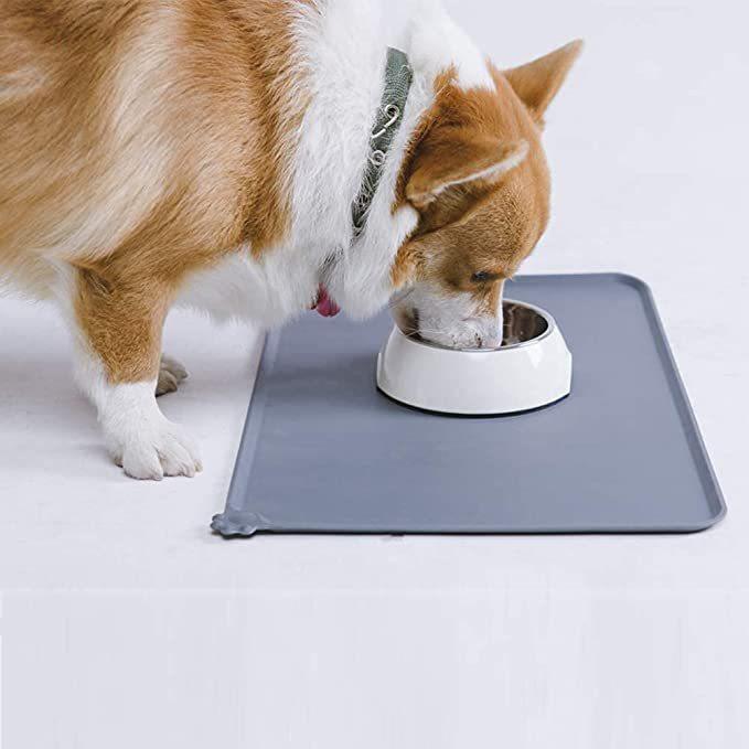 Pet Cat Dog Stainless Steel Feeder - Dog Hugs Cat