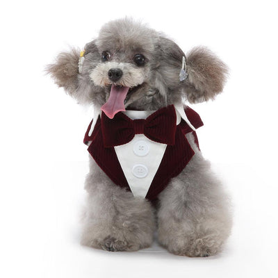 Pet Supplies Clothing Dog Dress Tuxedo - Dog Hugs Cat