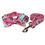 Pet Supplies Dog Collar Pet Leash - Dog Hugs Cat