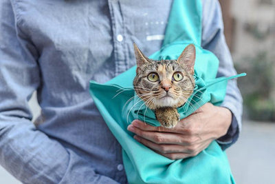 Perfect Cat Carrier Pouch Bag - Dog Hugs Cat