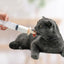 Kitten And Puppy Needle Pacifier Cat Feeder Newborn Feeding Medicine - Dog Hugs Cat