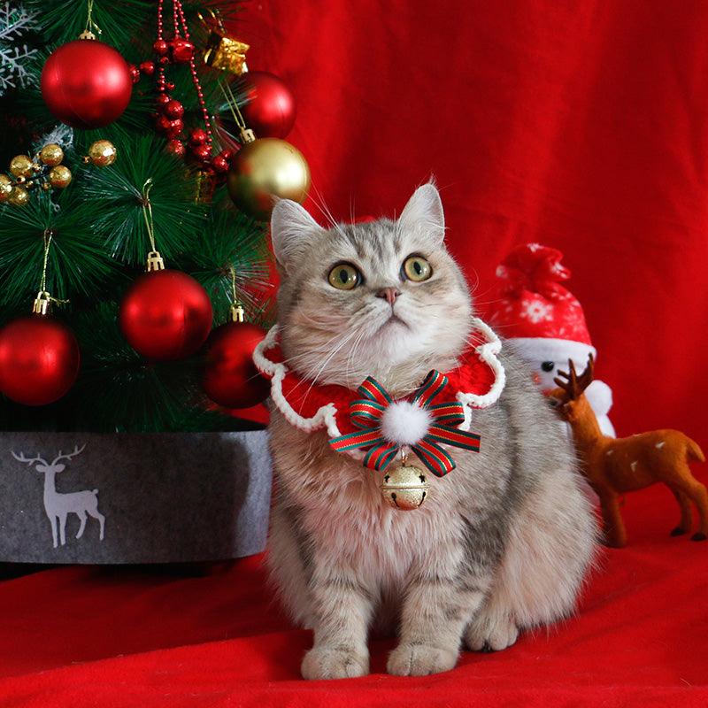 Teddy British Short Christmas Scarf - Dog Hugs Cat