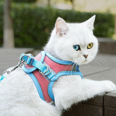 Cat Chest Harness With Luminous Traction Belt - Dog Hugs Cat