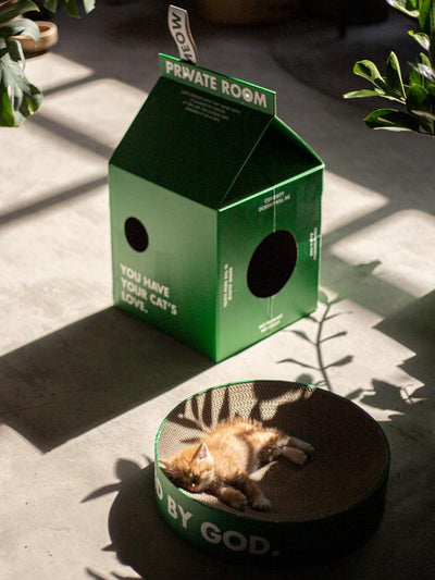 Cat Litter Corrugated Board Scratcher - Dog Hugs Cat