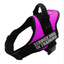 Explosion-Proof Chest Harness Pet Leash - Dog Hugs Cat