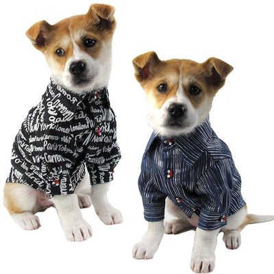 Printed Denim For Pets - Dog Hugs Cat