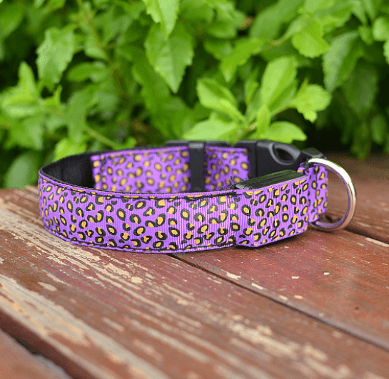 Led Dog Collar Safety Adjustable Nylon Leopard Pet Collar - Dog Hugs Cat