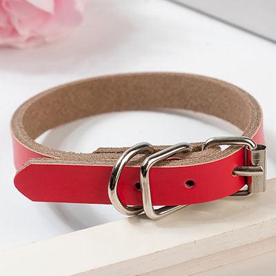 Leather Dog Collar Dog Chain - Dog Hugs Cat