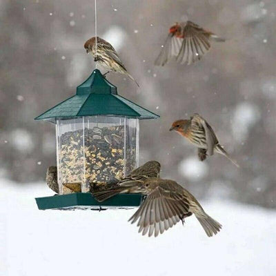 Waterproof Hanging Bird Food Box - Dog Hugs Cat