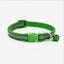 Fluorescent Dog Collar - Dog Hugs Cat