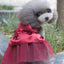 Dog Wedding Dress - Dog Hugs Cat