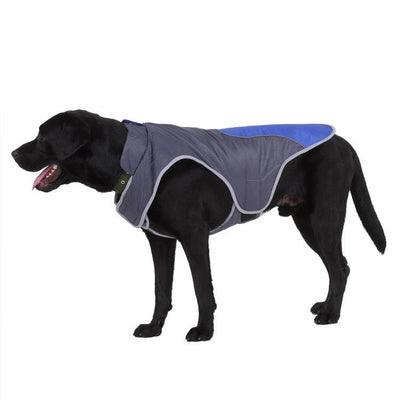 Pet Reflective Jacket - Dog Hugs Cat