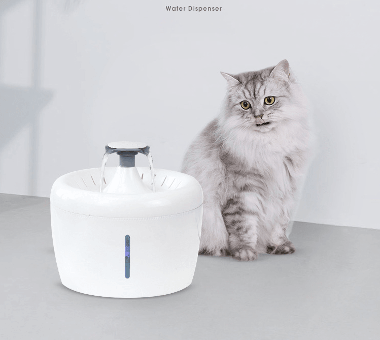 Universal Water Dispenser For Pets - Dog Hugs Cat