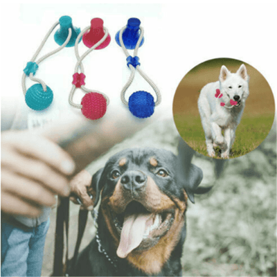 Dog Biting Sucker Multifunction Pet Molar Bite Toy - Dog Hugs Cat