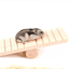 Hamster Wooden Seesaw - Dog Hugs Cat