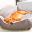 Dog Bed Sofa Bed - Dog Hugs Cat