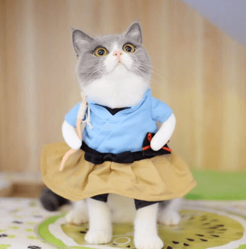 Funny Cat Costume Uniform Suit Cat Clothes Costume Puppy Clothes Dress Up Costume Party Clothing For Cat Cosplay Clothes - Dog Hugs Cat