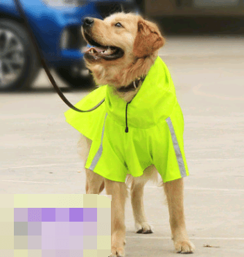 Spring And Summer New Dog Raincoat Waterproof Cape Dog Reflective Raincoat Large Dog Raincoat - Dog Hugs Cat