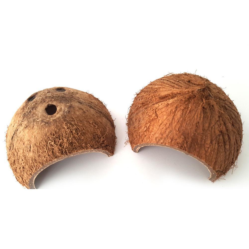 Reptile Cache Cave Natural Nest Coconut Shell - Dog Hugs Cat