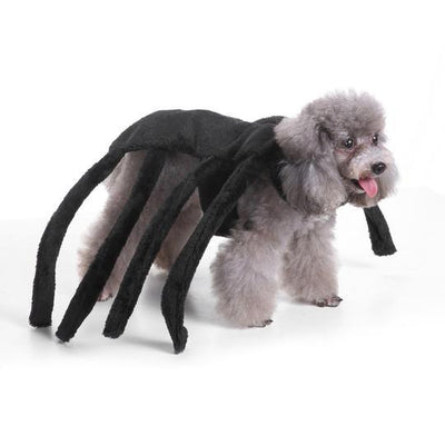 Unique Dog Spider Costume - Dog Hugs Cat