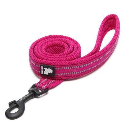 Pet Dog Leash - Dog Hugs Cat