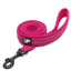 Pet Dog Leash - Dog Hugs Cat