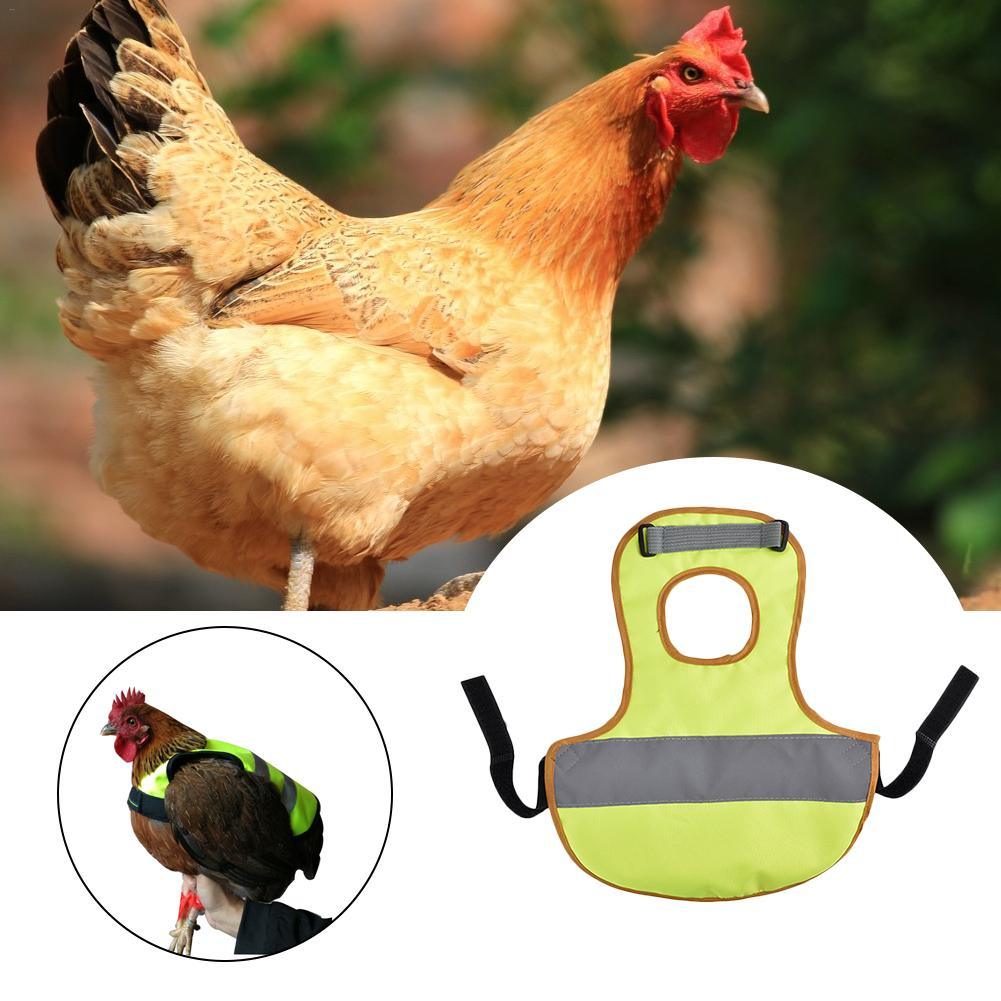 Chicken Reflective Vest - Dog Hugs Cat