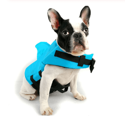 Dog Life Vest Summer Shark Pet Life Jacket - Dog Hugs Cat