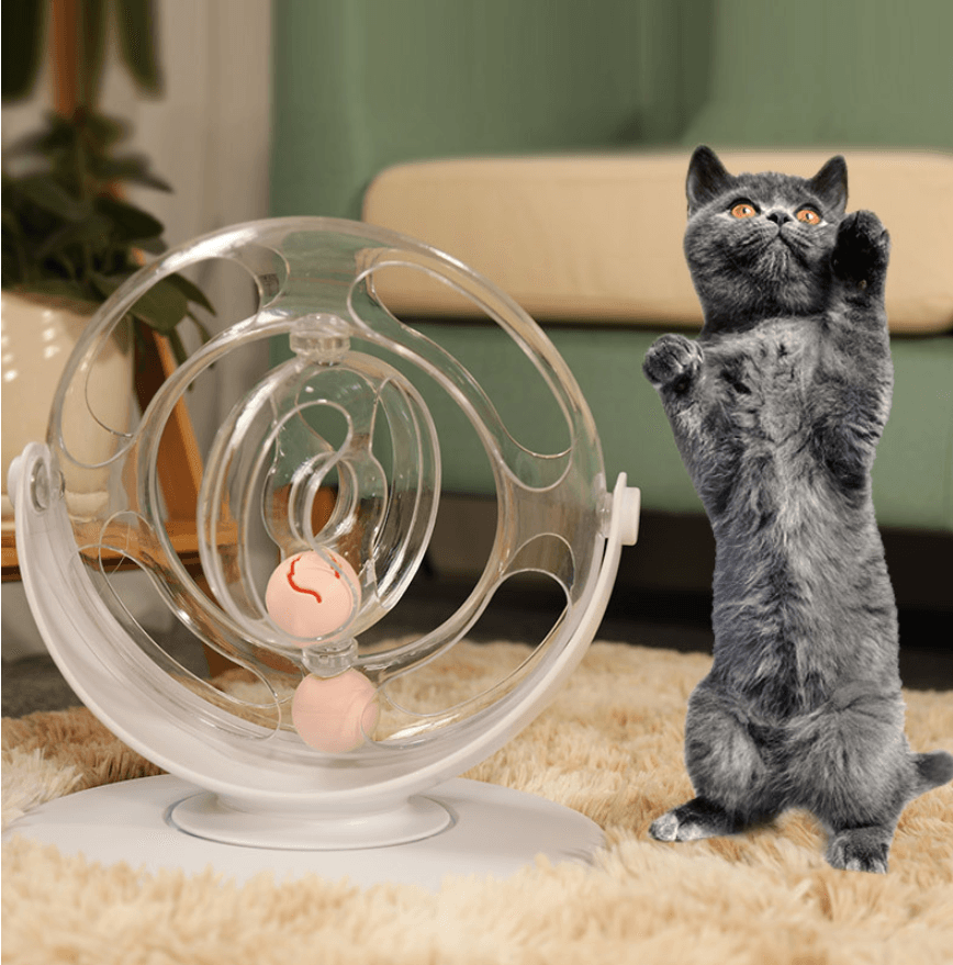 Cat Turntable Educational Toys - Dog Hugs Cat