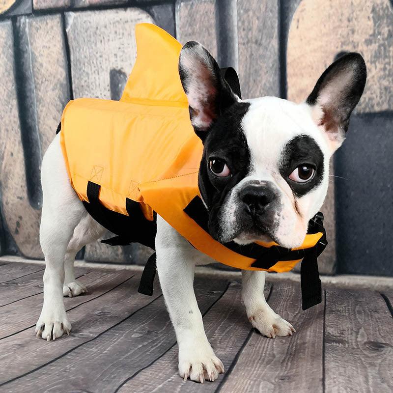 Dog Life Vest Summer Shark Pet Life Jacket - Dog Hugs Cat