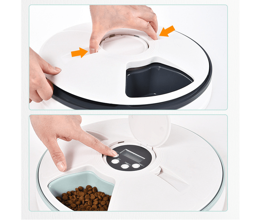 Automatic Pet Feeder - Dog Hugs Cat