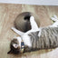 Magic Organ Cat Scratchers 2 In 1 Funny Shaped Cat Scratching Board Foldable Convenient Recyclable Durable Cat Scratcher - Dog Hugs Cat