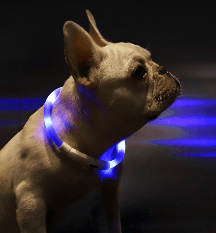 Pet Light Collar Anti-Lost Collar For Dogs Pet Collars - Dog Hugs Cat