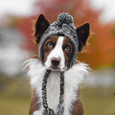 Winter Fashion Dog Hat Windproof Fluffy Knitted Polar Pom Hat - Dog Hugs Cat