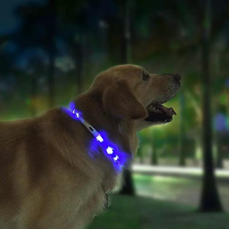 Pet Light Collar Anti-Lost Collar For Dogs Pet Collars - Dog Hugs Cat