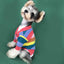 Dog Rainbow Striped Cardigan - Dog Hugs Cat